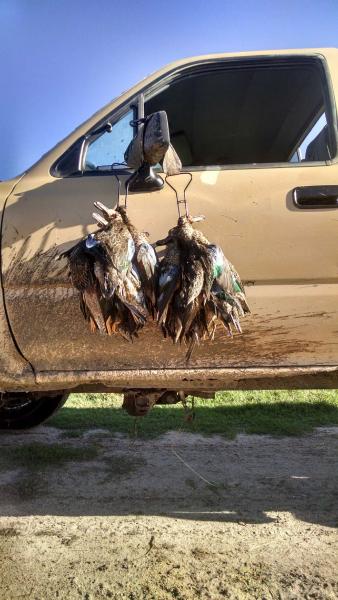 Click image for larger version

Name:	9.jpg
Views:	1
Size:	41.5 KB
ID:	576690