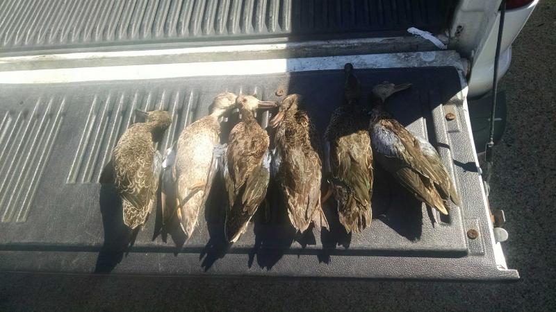 Click image for larger version

Name:	8.jpg
Views:	1
Size:	65.9 KB
ID:	576689