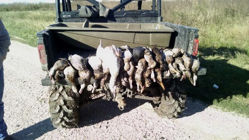 Click image for larger version

Name:	6.jpg
Views:	1
Size:	93.3 KB
ID:	576687