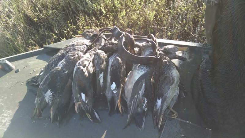 Click image for larger version

Name:	5.jpg
Views:	1
Size:	69.4 KB
ID:	576686