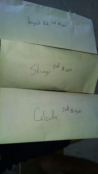 Click image for larger version

Name:	2.jpg
Views:	1
Size:	13.7 KB
ID:	576800