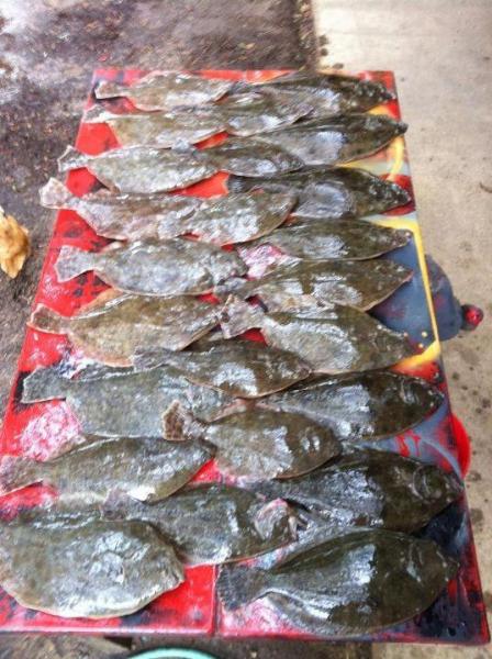 Click image for larger version

Name:	flonders.jpg
Views:	1
Size:	60.3 KB
ID:	570845