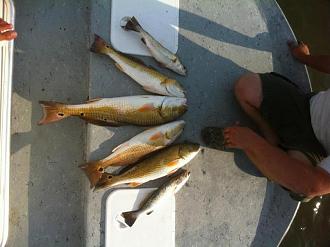 Click image for larger version

Name:	choc8.jpg
Views:	1
Size:	62.5 KB
ID:	573492