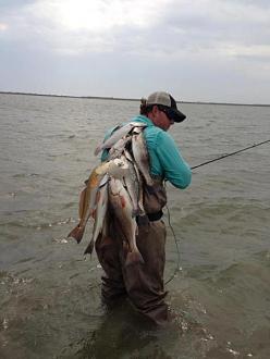 Click image for larger version

Name:	choc1.jpg
Views:	1
Size:	30.1 KB
ID:	573487