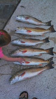 Click image for larger version

Name:	choc 8.jpg
Views:	1
Size:	39.1 KB
ID:	573486