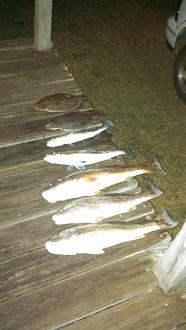 Click image for larger version

Name:	choc 7.jpg
Views:	1
Size:	30.8 KB
ID:	573485