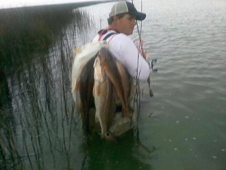 Click image for larger version

Name:	choc 6.jpg
Views:	1
Size:	46.4 KB
ID:	573484