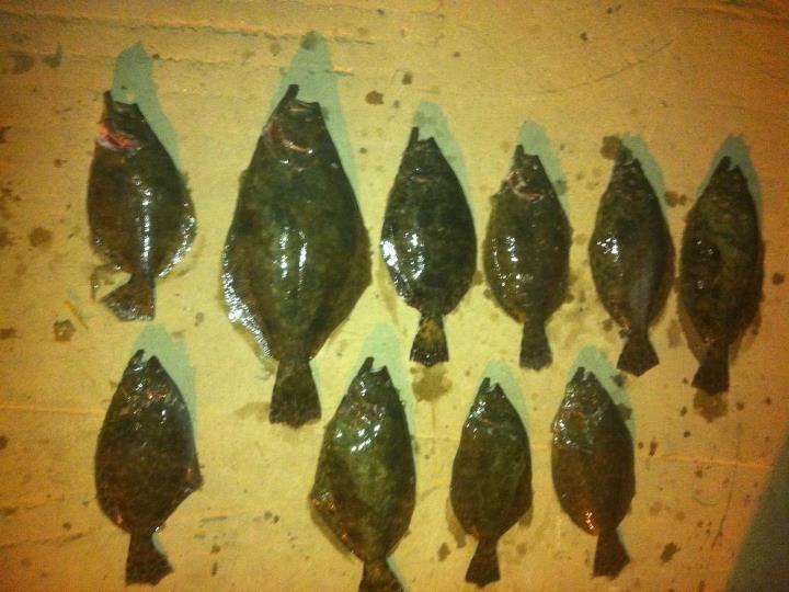 Click image for larger version

Name:	flouders gig.jpg
Views:	1
Size:	56.3 KB
ID:	571054