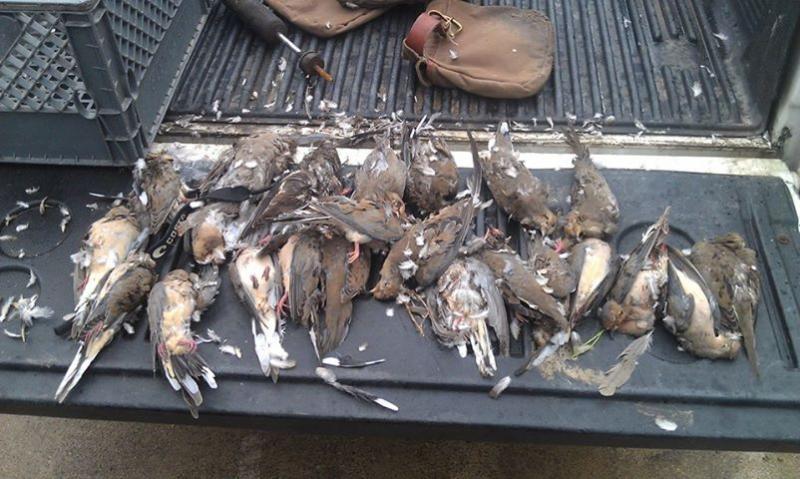 Click image for larger version

Name:	921.jpg
Views:	1
Size:	73.6 KB
ID:	574717