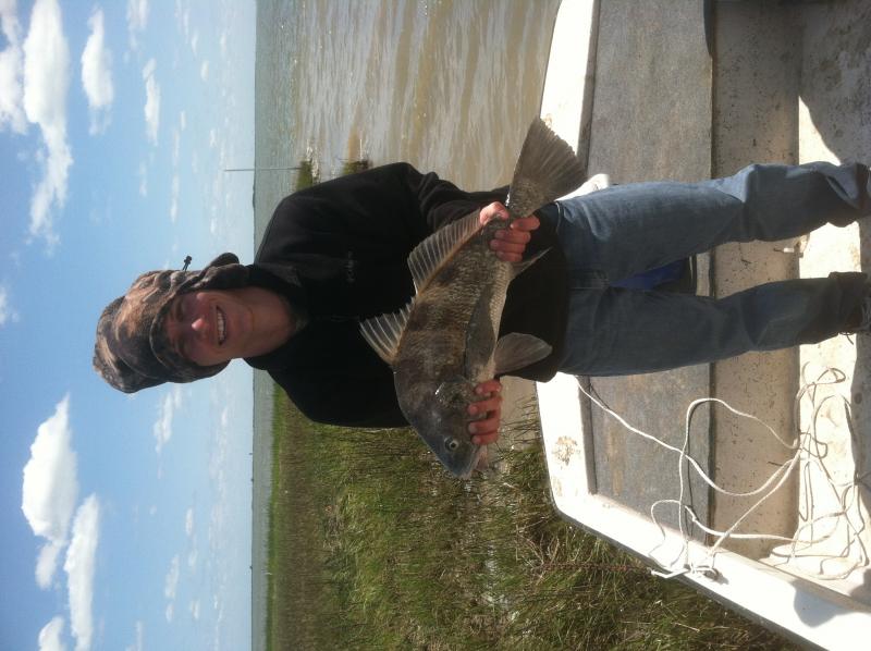 Click image for larger version

Name:	Black Drum.jpg
Views:	1
Size:	64.2 KB
ID:	574046