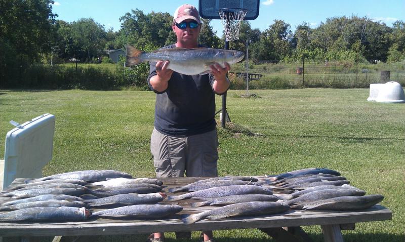 Click image for larger version

Name:	8293.jpg
Views:	1
Size:	90.3 KB
ID:	572622