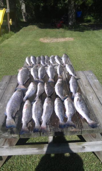 Click image for larger version

Name:	8292.jpg
Views:	1
Size:	41.7 KB
ID:	572621