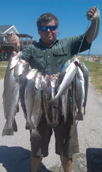 Click image for larger version

Name:	8291.jpg
Views:	1
Size:	35.7 KB
ID:	572620