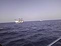 Click image for larger version

Name:	shrimpers.JPG
Views:	94
Size:	192.7 KB
ID:	564922