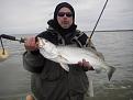 Click image for larger version

Name:	Picture 054.jpg
Views:	120
Size:	1.22 MB
ID:	565386