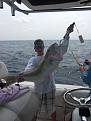 Click image for larger version

Name:	fishing trip 6-5 026.JPG
Views:	116
Size:	2.99 MB
ID:	569378