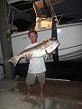 Click image for larger version

Name:	fishing trip 6-5 062.JPG
Views:	114
Size:	3.60 MB
ID:	569387