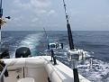 Click image for larger version

Name:	fishing trip 6-5 038.JPG
Views:	112
Size:	3.28 MB
ID:	569388