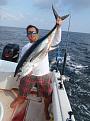 Click image for larger version

Name:	yellowfin.jpg
Views:	137
Size:	84.5 KB
ID:	569464